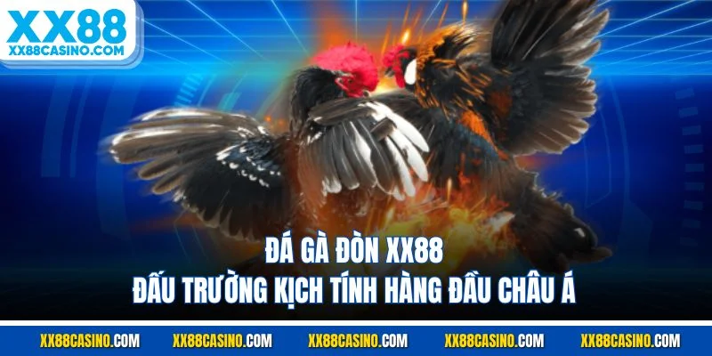 Đá Gà Đòn XX88 - Đấu Trường Kịch Tính Hàng Đầu Châu Á